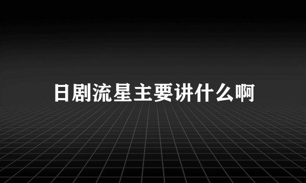 日剧流星主要讲什么啊