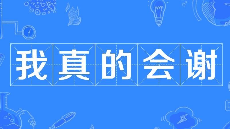 我真的会谢什么意思