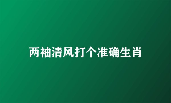 两袖清风打个准确生肖