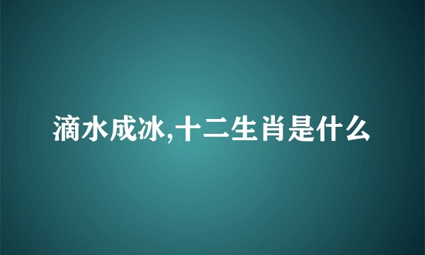滴水成冰,十二生肖是什么