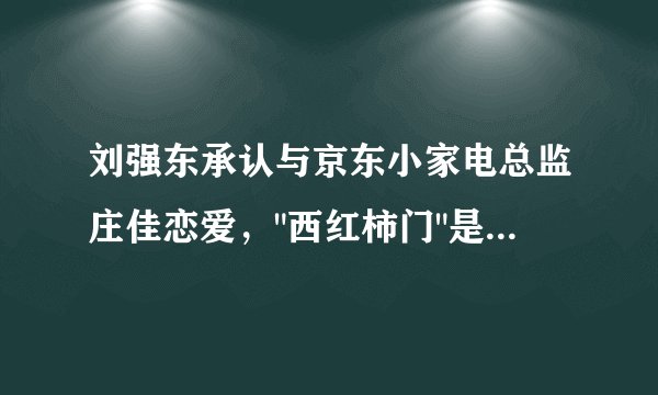 刘强东承认与京东小家电总监庄佳恋爱，