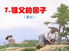 祖父的园子我和祖父在园子里做了什么？