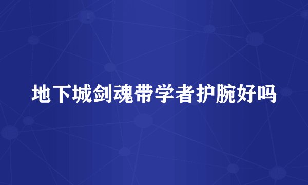 地下城剑魂带学者护腕好吗