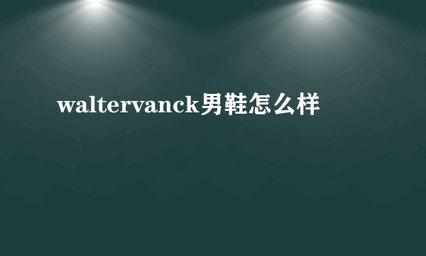 waltervanck男鞋怎么样