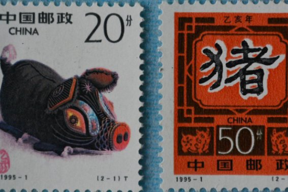 乙亥年是什么意思