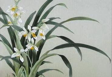 幽兰操的原文、翻译及赏析是什么？