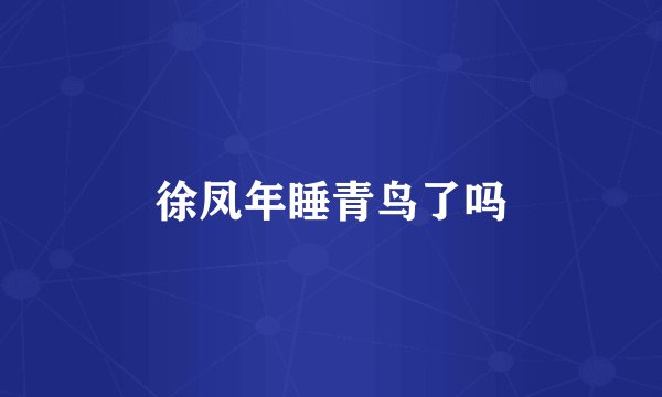 徐凤年睡青鸟了吗