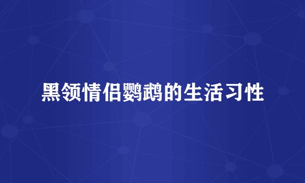 黑领情侣鹦鹉的生活习性