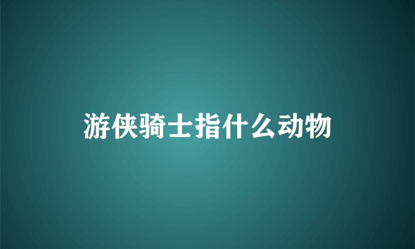 游侠骑士指什么动物