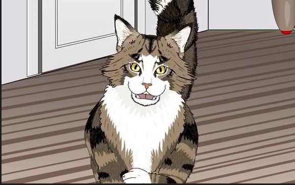 TG动画网在哪里可以看到？