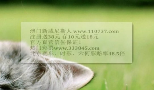 易发棋牌官网好不好玩啊？