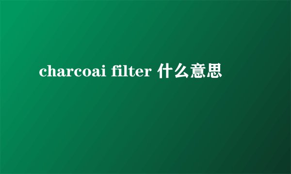 charcoai filter 什么意思