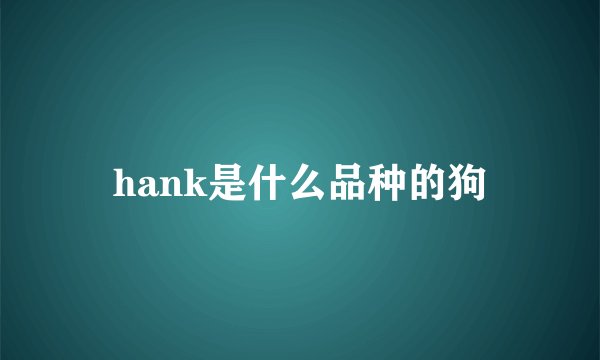 hank是什么品种的狗