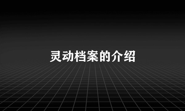 灵动档案的介绍