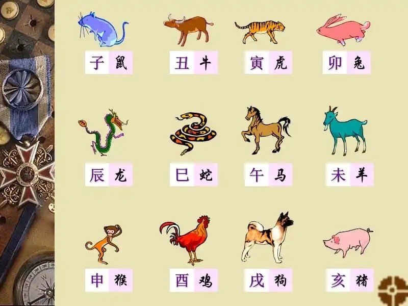 晨光初现解什么生肖