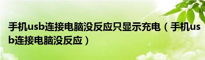 手机usb连接电脑没反应只显示充电手机usb连接电脑没反应