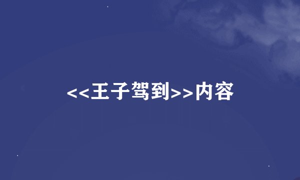 <<王子驾到>>内容