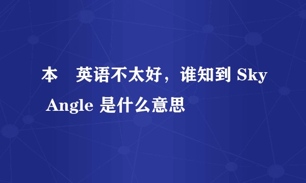 本屌英语不太好，谁知到 Sky Angle 是什么意思