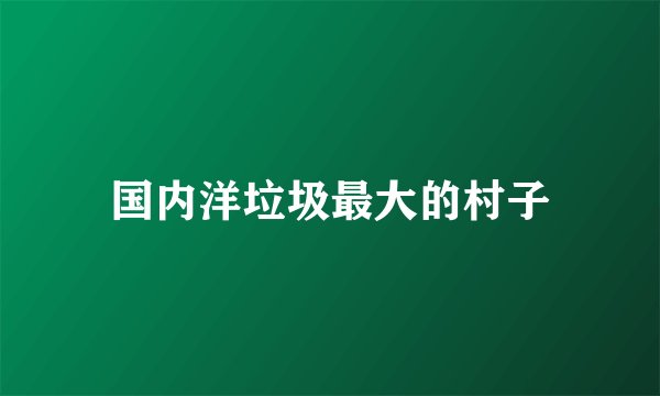 国内洋垃圾最大的村子