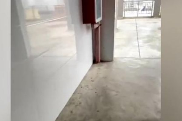 高一女生遭同班男生殴打，路过老师看到为何不制止？