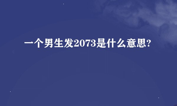 一个男生发2073是什么意思?