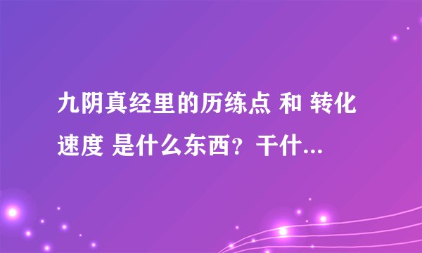 九阴真经里的历练点 和 转化速度 是什么东西？干什么用的？ 还有修为？怎么提升实力啊？