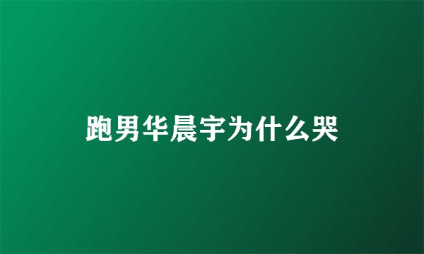 跑男华晨宇为什么哭