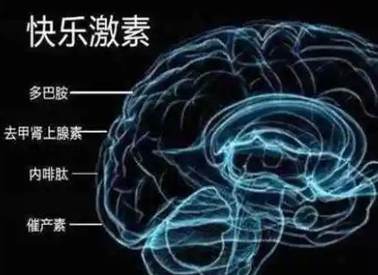 丢了多巴胺是什么梗?