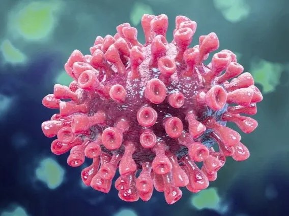 满洲里近百名师生相继确诊，他们究竟是如何被感染的？