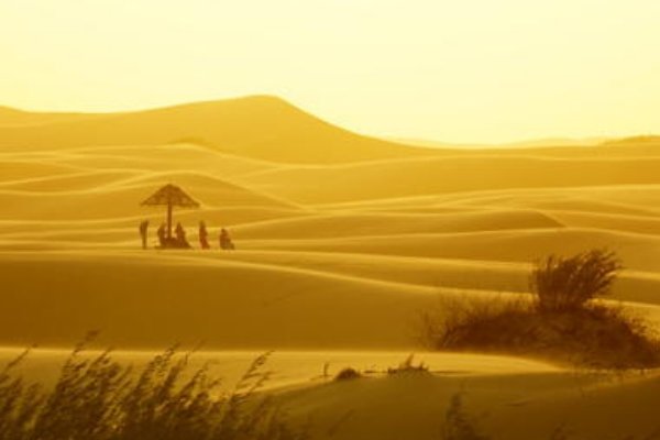 《寂寞沙洲冷》原文