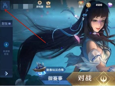 王者鹰眼护卫队2021申请时间是