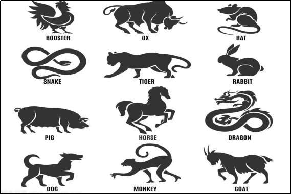 愤发有为打一动物生肖