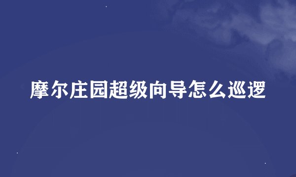 摩尔庄园超级向导怎么巡逻