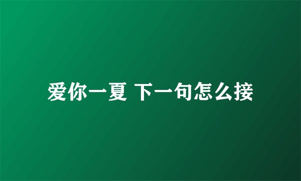 爱你一夏 下一句怎么接