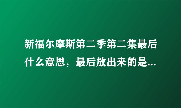 新福尔摩斯第二季第二集最后什么意思，最后放出来的是谁？ 为啥夏洛克在最后解密的时候看到的是谁？