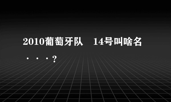 2010葡萄牙队嘚14号叫啥名···？