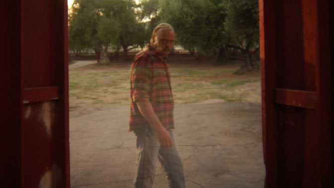 萨拉和神秘时辰的介绍