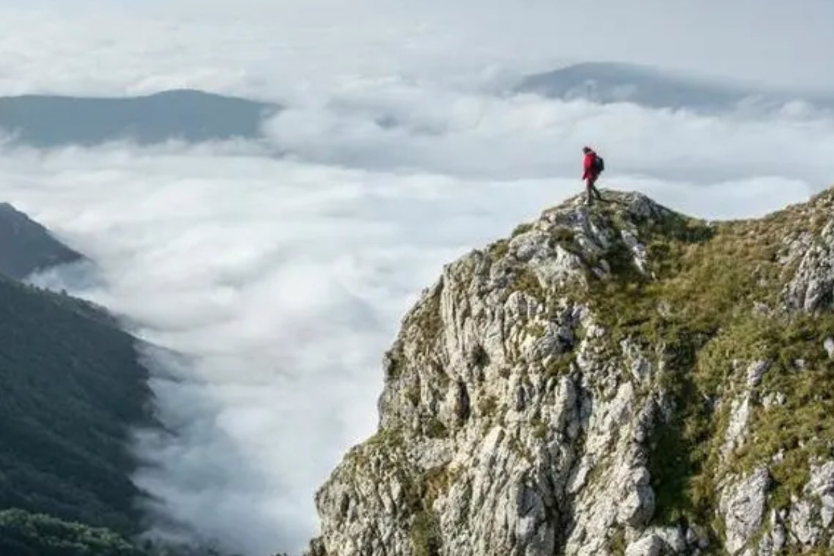 痒痒鼠们在开玩笑时常自嘲自己除斗皆八,“除斗皆八”的含义是?a.除了不擅长斗