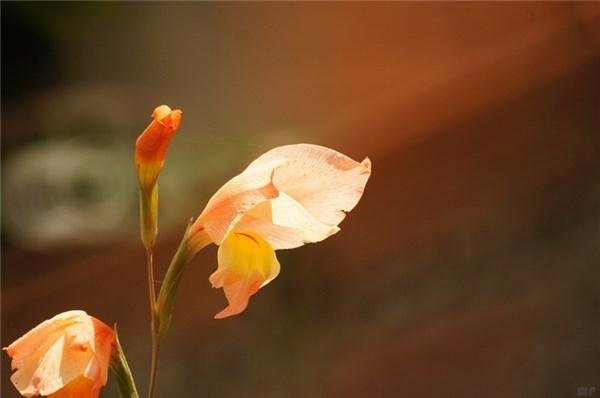 心情特别烦躁该怎么办