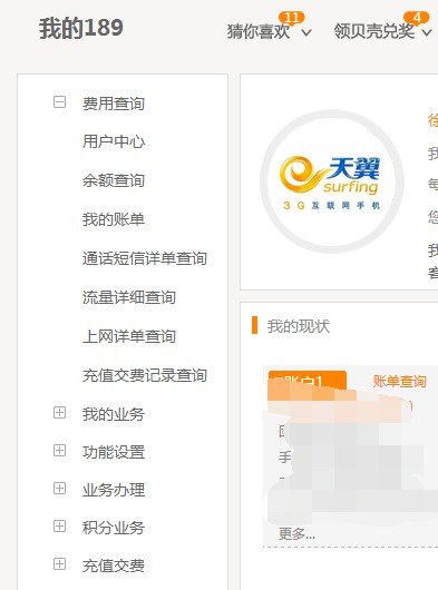10000号查询客户端能查询通话详单吗
