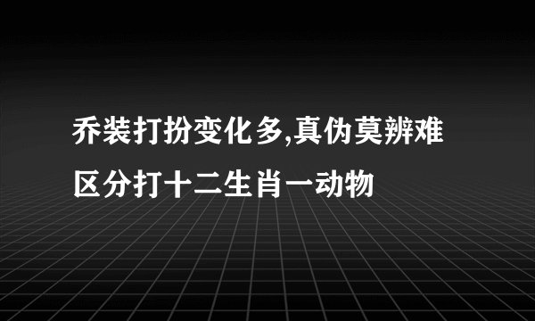 乔装打扮变化多,真伪莫辨难区分打十二生肖一动物