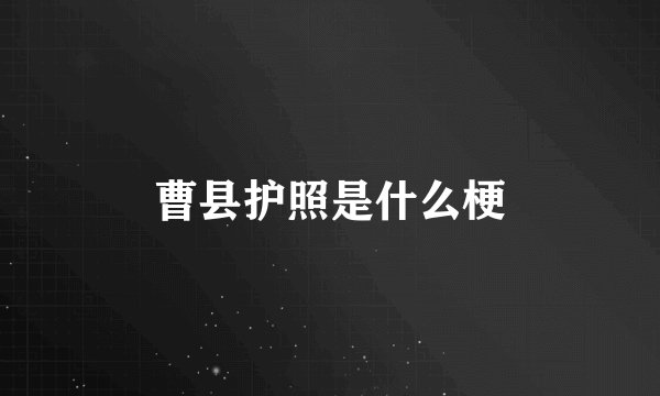 曹县护照是什么梗