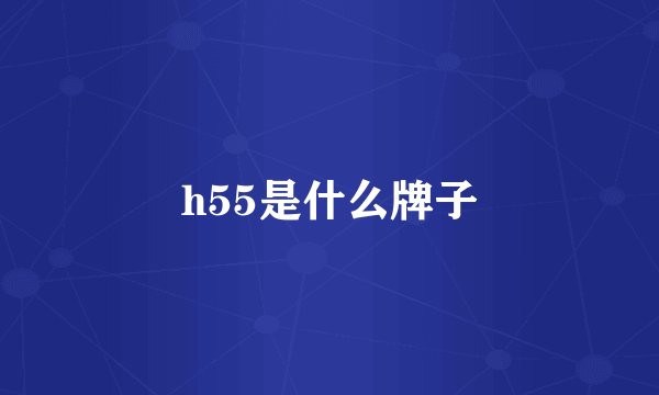 h55是什么牌子