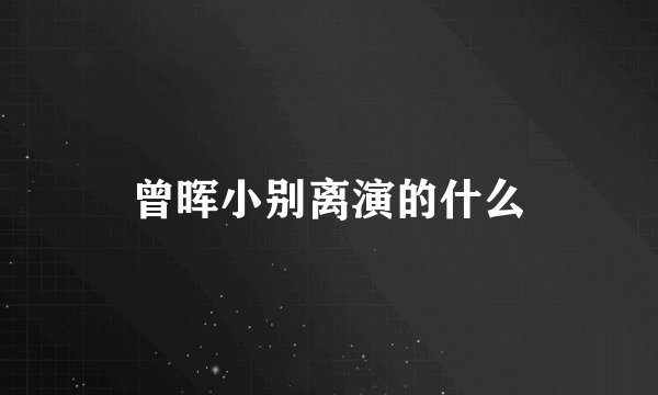 曾晖小别离演的什么