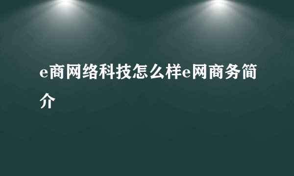 e商网络科技怎么样e网商务简介