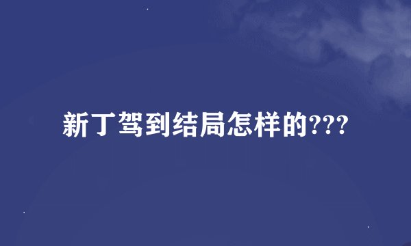 新丁驾到结局怎样的???