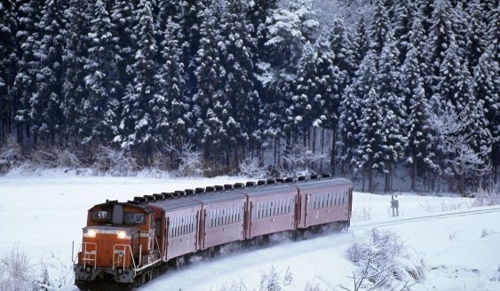 今年的数九是第几九？