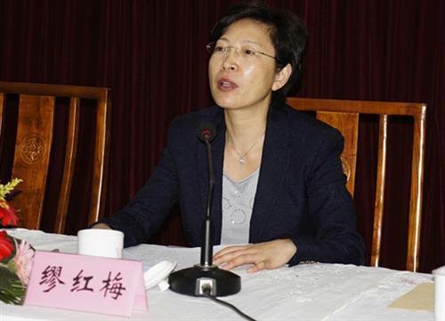 江苏省经济贸易委员会的领导分工