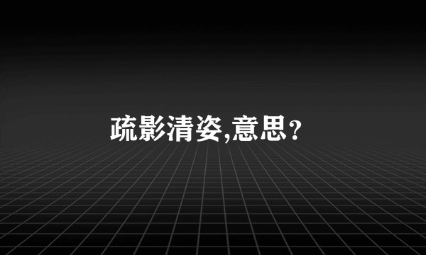 疏影清姿,意思？