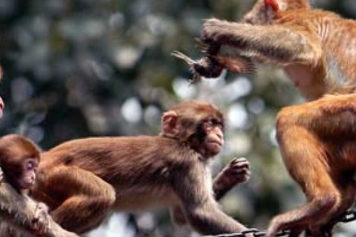 时断时续的意思和造句